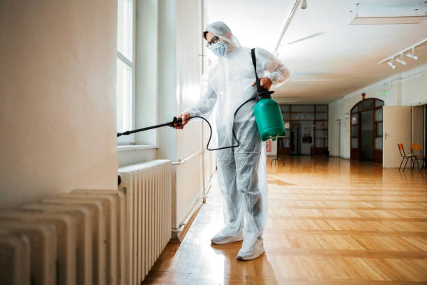 Reliable Rochester, NY Pest control Solutions